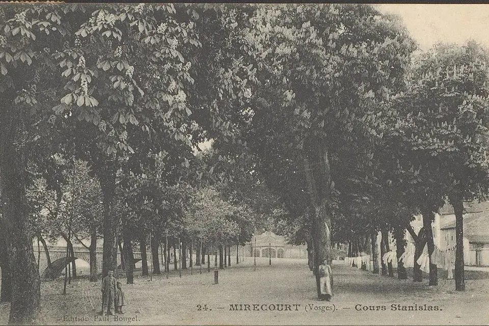 Carte postale ancienne du cours Stanislas à Mirecourt : une large allée bordée de grands arbres, avec quelques promeneurs et des maisons au fond